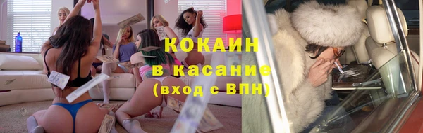 прущие грибы Кодинск