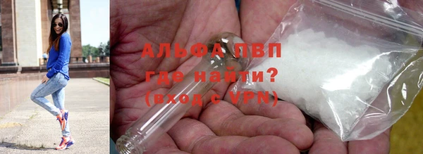 прущие грибы Кодинск