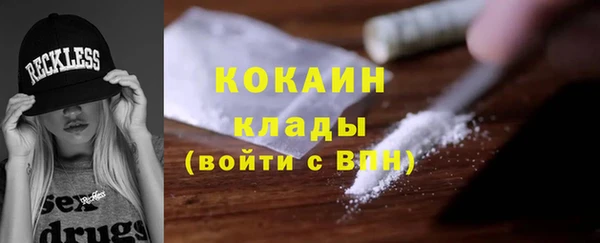 прущие грибы Кодинск