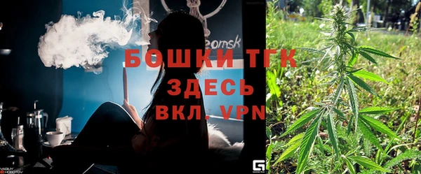 прущие грибы Кодинск