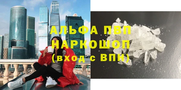 прущие грибы Кодинск
