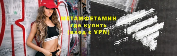прущие грибы Кодинск