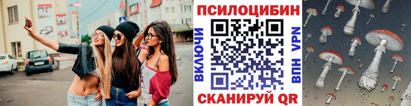 Псилоцибиновые грибы MAGIC MUSHROOMS  Купить закладки  Кондопога 