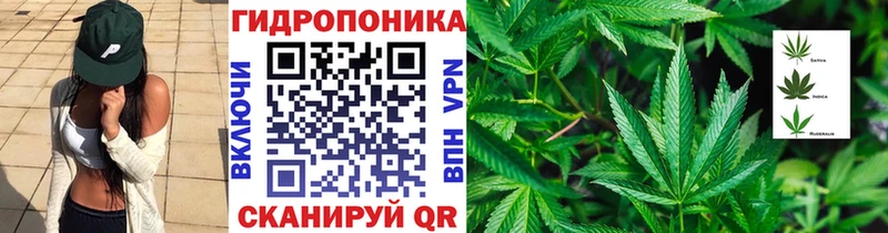 Купить  Кондопога  Конопля марихуана 